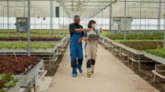As a an agricultural engineer I offer solutions to improve agricultural productivity.