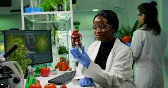 As a Food Scientist, I ensure food safety, quality, innovation, and regulatory compliance.