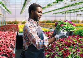 As a florist, I design, arrange, and sell flowers and ornamental plants, for decoration/ceremonies